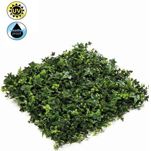 zeleni zid brsljan mix 50*50