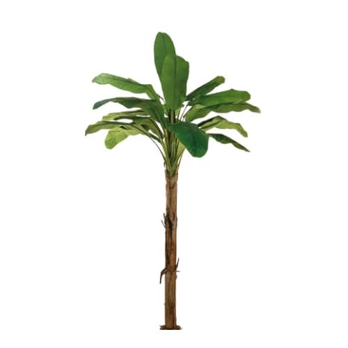 Banana h180cm