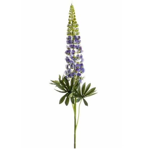 Lupine grana plava