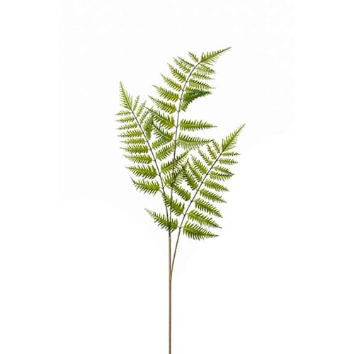 Paprat grana 85cm zelena