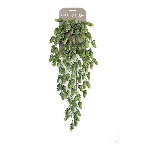 Hop 70cm