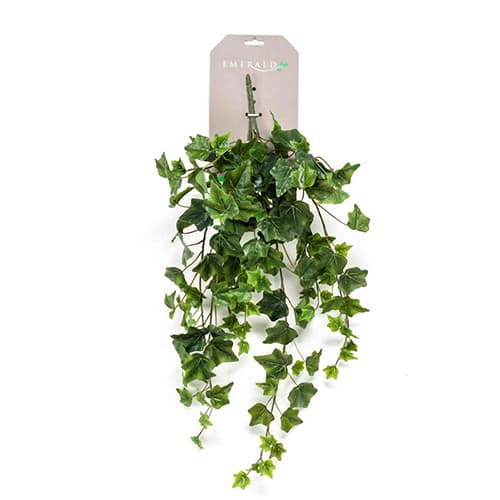 Ivy 70cm zeleni