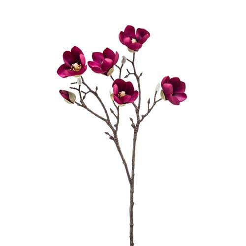 Magnolia burgundy 65cm