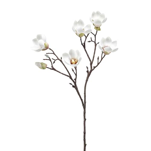 Magnolia cream 65cm