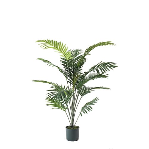 Palma 150cm