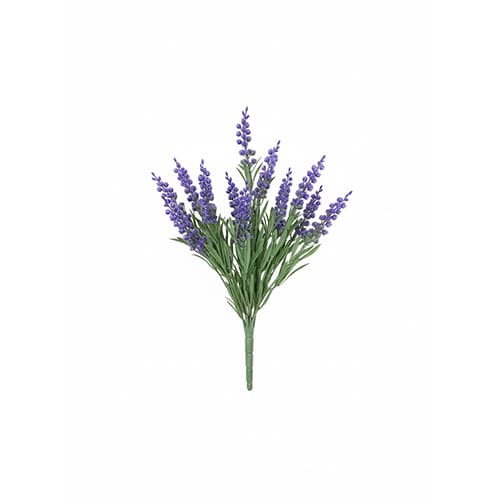 Lavanda UV