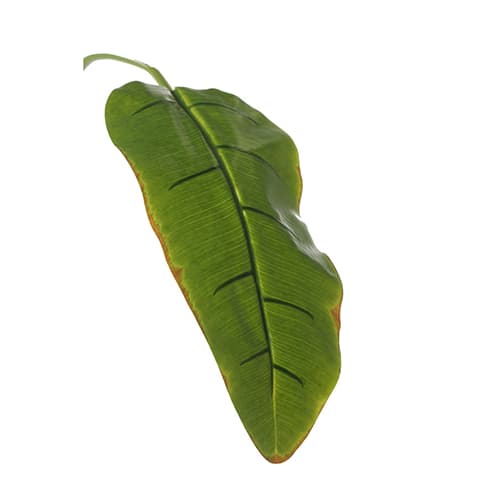 Banana list