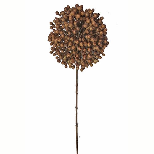 Alium 70cm