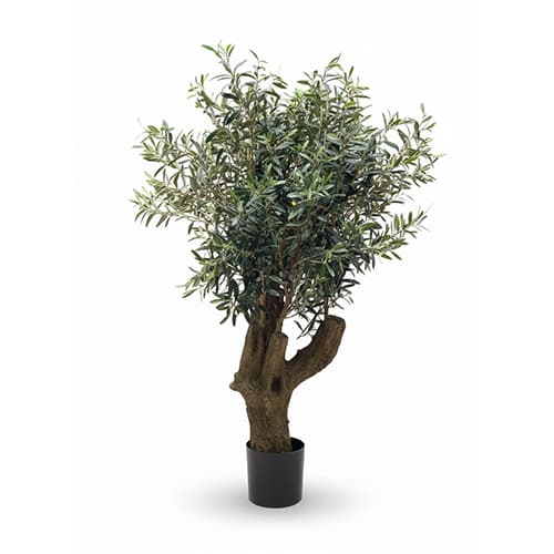 Drvo masline 140cm UV