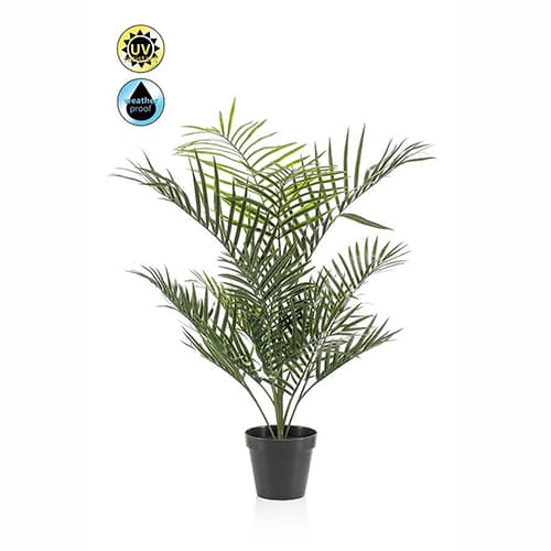Areca palm UV in pot 90cm