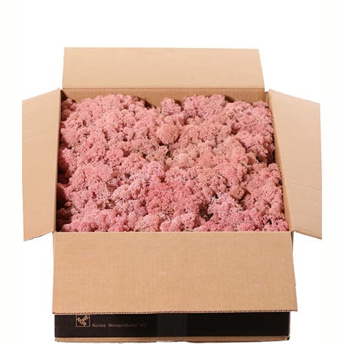 Mahovina roze