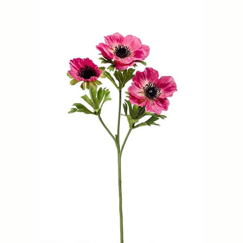 Anemone spray x3 pink 55cm