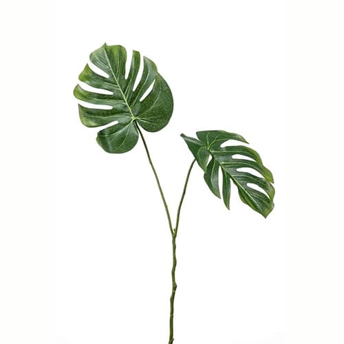 Monstera leaf spray x2 50cm
