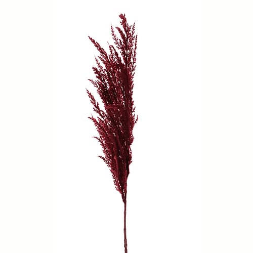 Pampas crveni 116cm