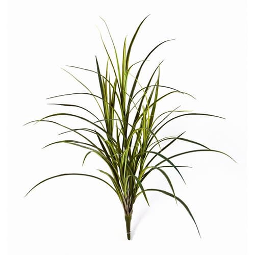 Grass Bunch 80 cm