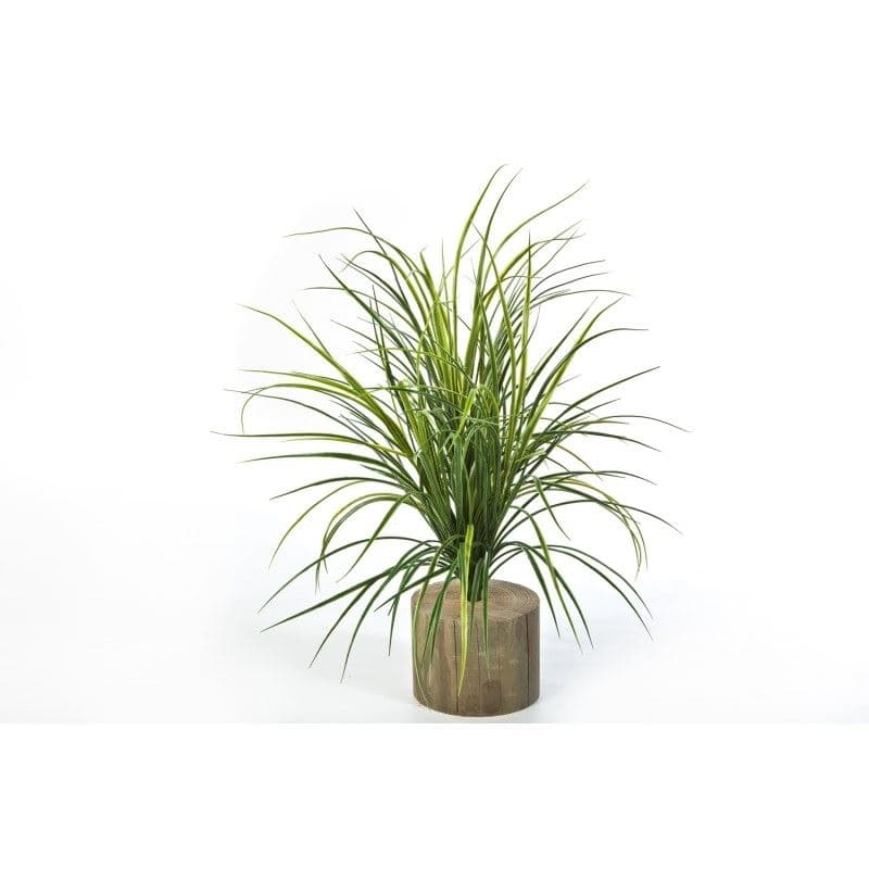 Grass Bunch 75cm