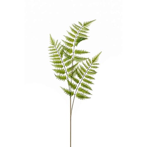 Fern tree spray x3