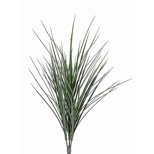 Žbun trave 50cm