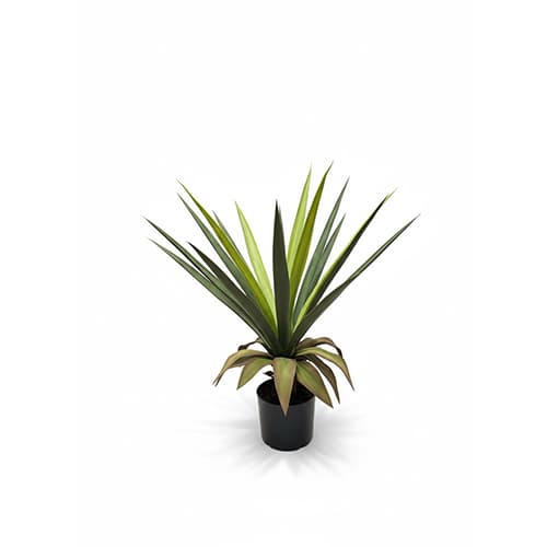 Saml 80cm
