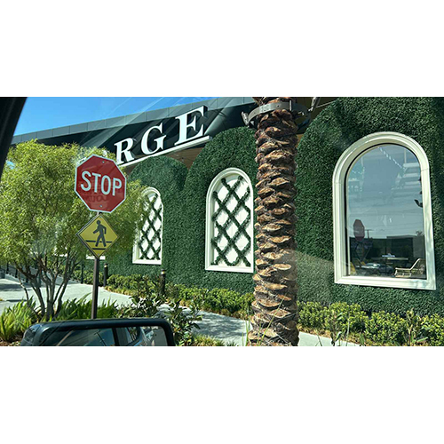 zeleni zid bršljan2 Zeleni zid brsljan mix 50*50 - Slika 5