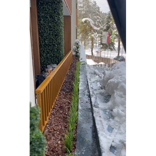 zz brsljen Zeleni zid brsljan mix 50*50 - Slika 6