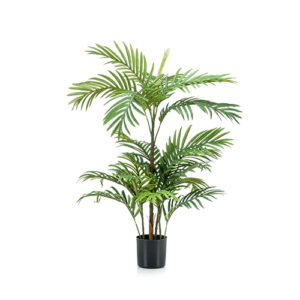 Palma fenix 90cm