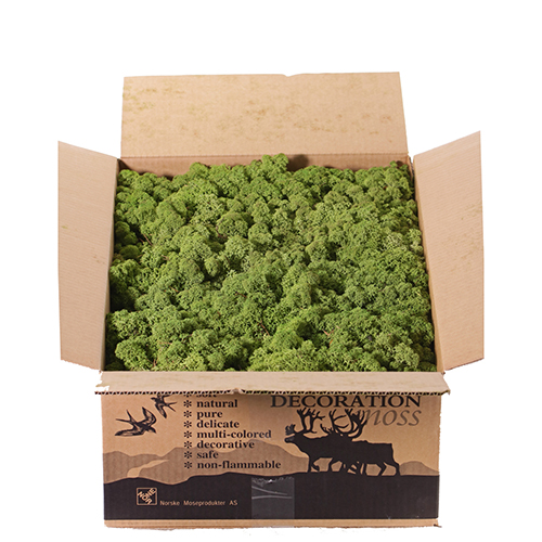 NN70 Mahovina - srednje zelena N70