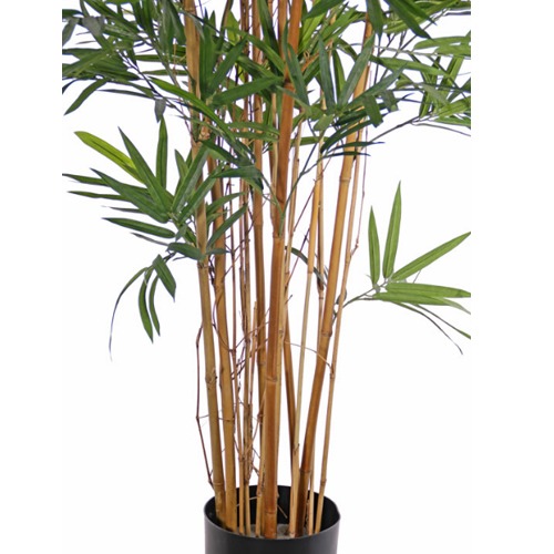 Bambus T UV 170cm 500 2 Bambus 170cm, UV - Slika 2