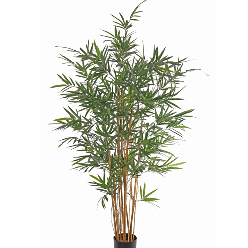 Bambus T uv 170cm 500 Bambus 170cm, UV