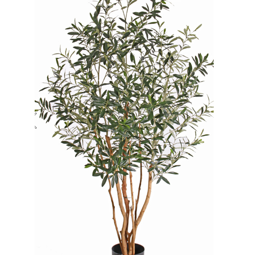 maslina T 165cm UV 500 Maslina 165cm, UV