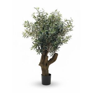 Drvo masline 140cm UV