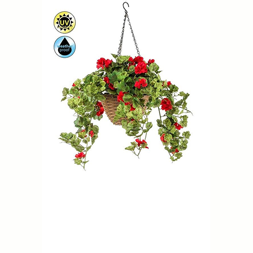 cvece saks Muskatla u korpi UV