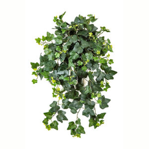 Ivy Hanging Bush UV