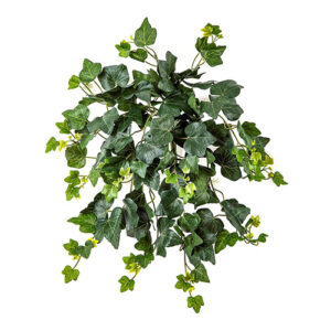 Ivy Hanging Bush UV