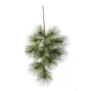 Needle Pine Spray