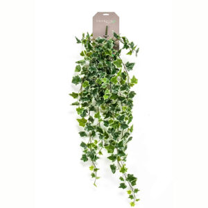 Ivy hanging bush green/white 100cm