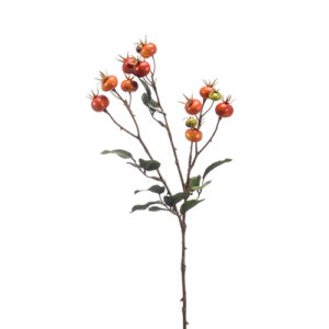 Rosehip grana