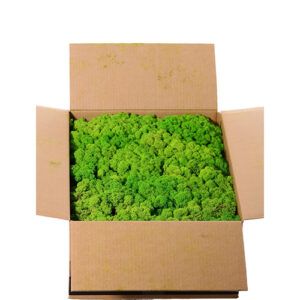 Mahovina 5kg svetlo zelena