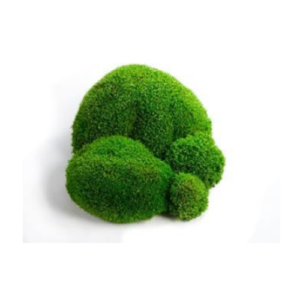 Loptasta mahovina 0,7-0,8m2