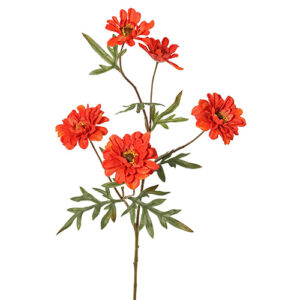 Hrizantema srednje velicine