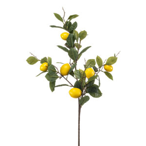 grana limuna 95cm