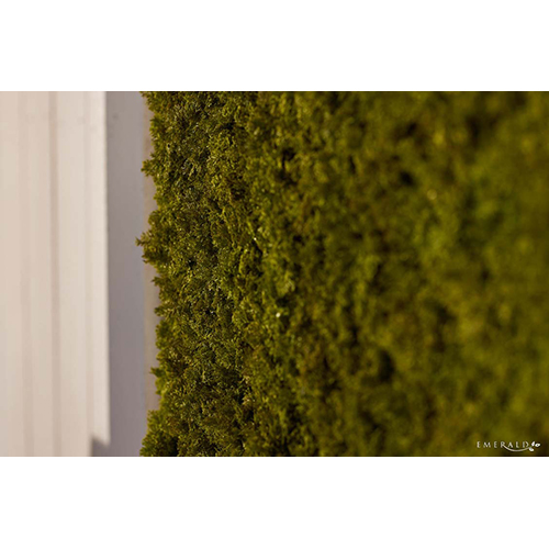mahovina panel uv i vatrootporni mahovina panel uv i vatrootporni