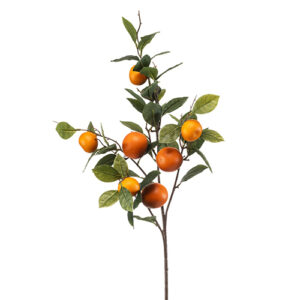 grana pomorandze 95cm